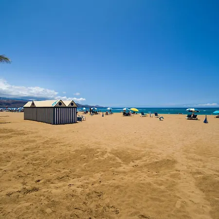 Retama Canteras By Canariasgetaway